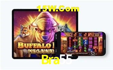 Sistemas de Segurança Bra55