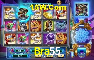 Sistemas de Segurança Bra55
